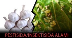 Pestisida Alami dan Insektisida Alami